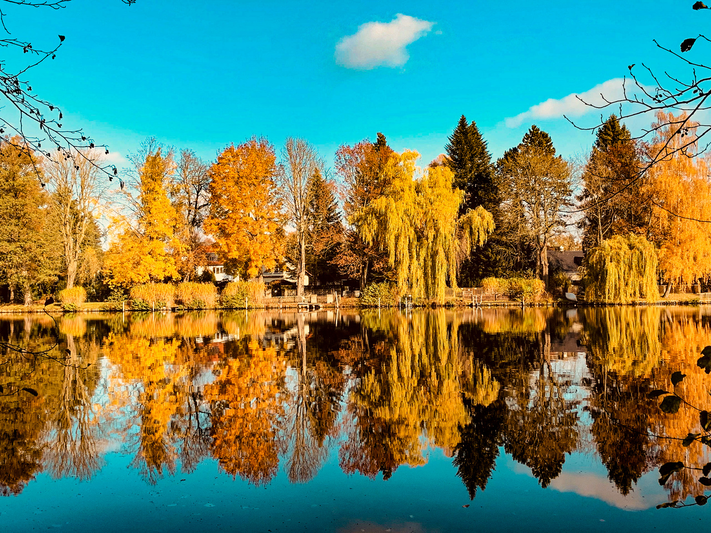 Der Herbst zeigt seine Schönheit