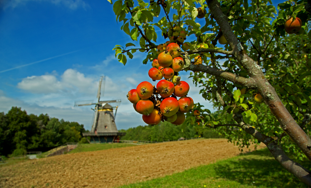 Der Herbst zeigt seine schönste Seite