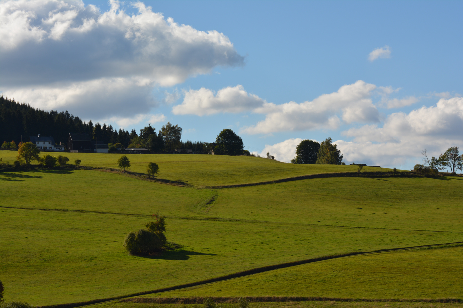 ... der Herbst zeigt sich