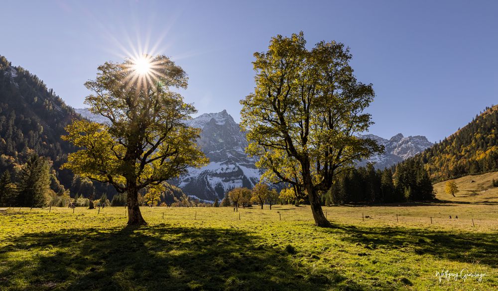 Der Herbst zeigt sich in seinen schönsten Farben