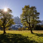 Der Herbst zeigt sich in seinen schönsten Farben