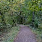 Der Herbst zeigt sich (langsam) im Beverseewald