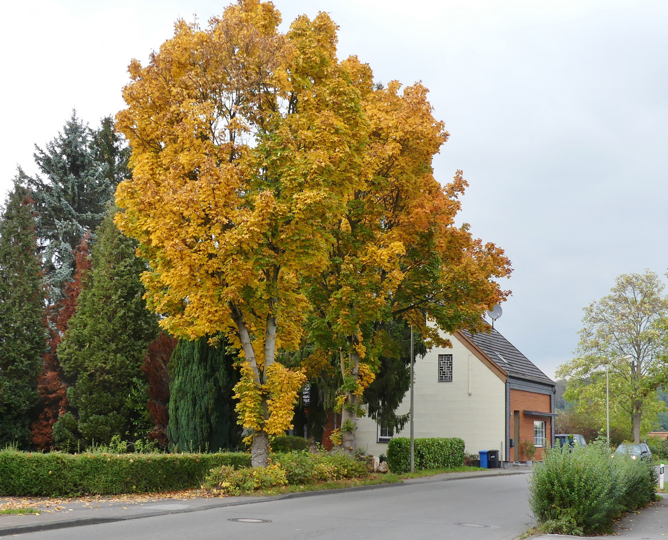 Der Herbst zeigt sich nicht überall im gleichen Tempo ...