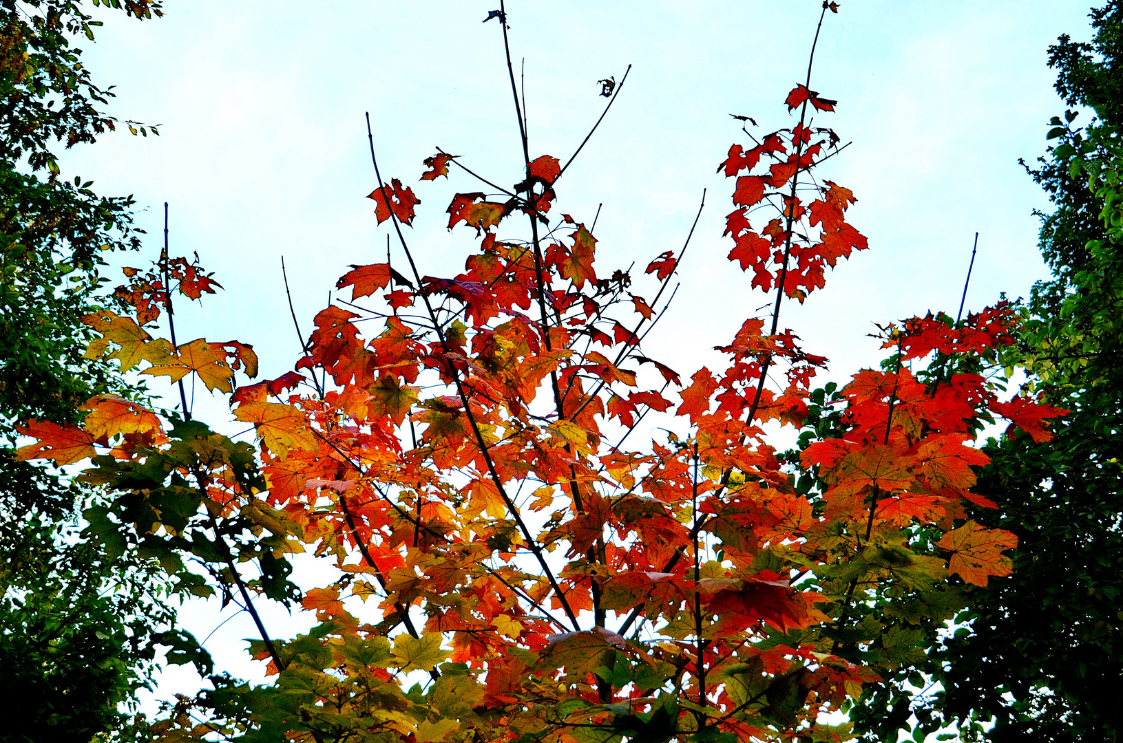 Der Herbst zeigt sich von seiner freundlichen Seite .....