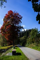 der Herbst zeigt sich von seiner schönen Seite