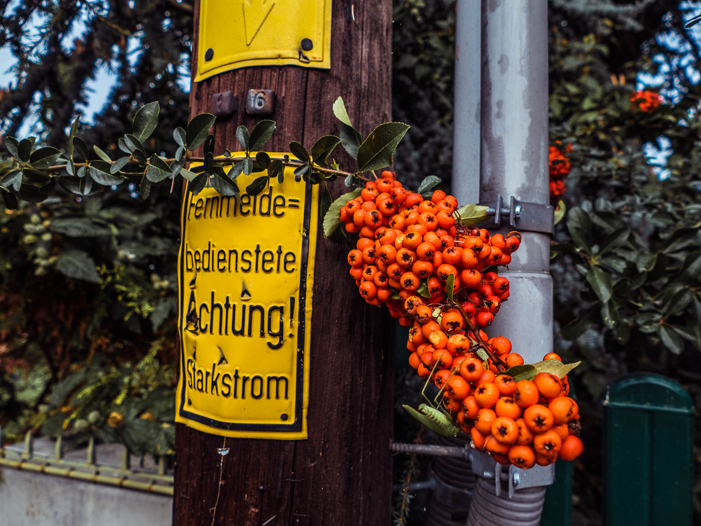 Der Herbst zeigt sich von seiner schönsten Seite ....