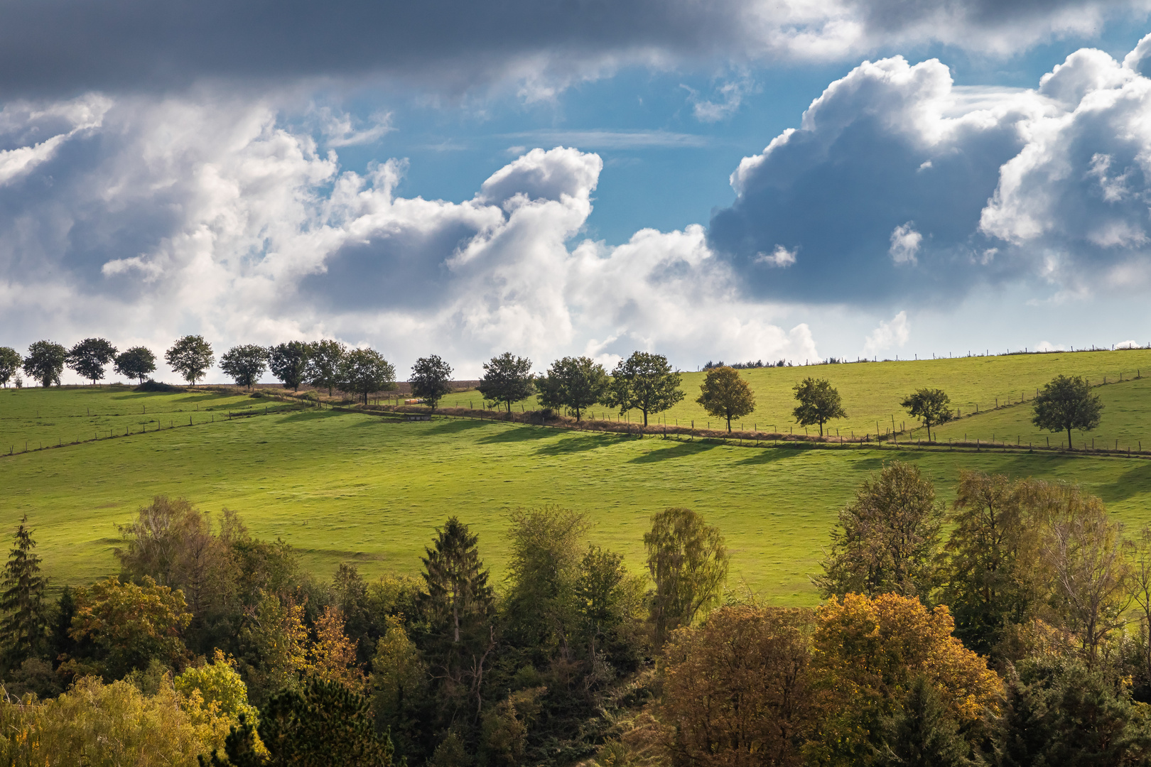 Der Herbst zeigt sich von seiner schönsten Seite