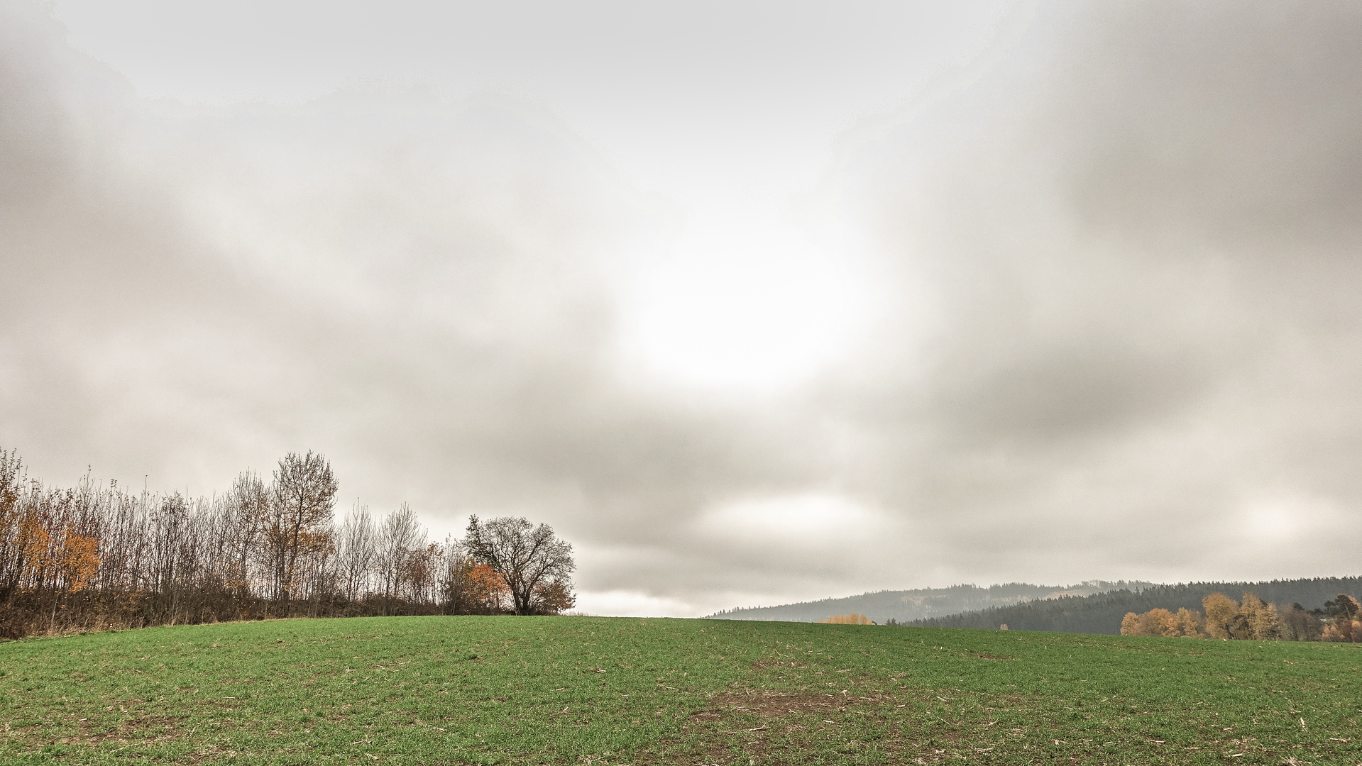 Der Herbst zeigt uns, was er bringt