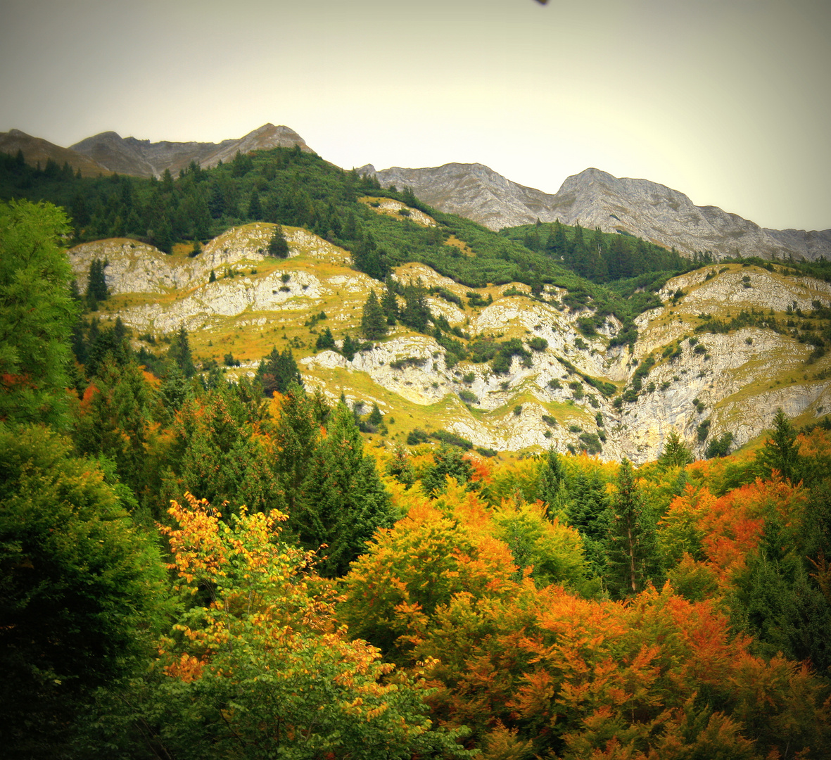 Der Herbst zieht durch die Alpen