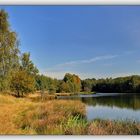 Der Herbst zieht ein