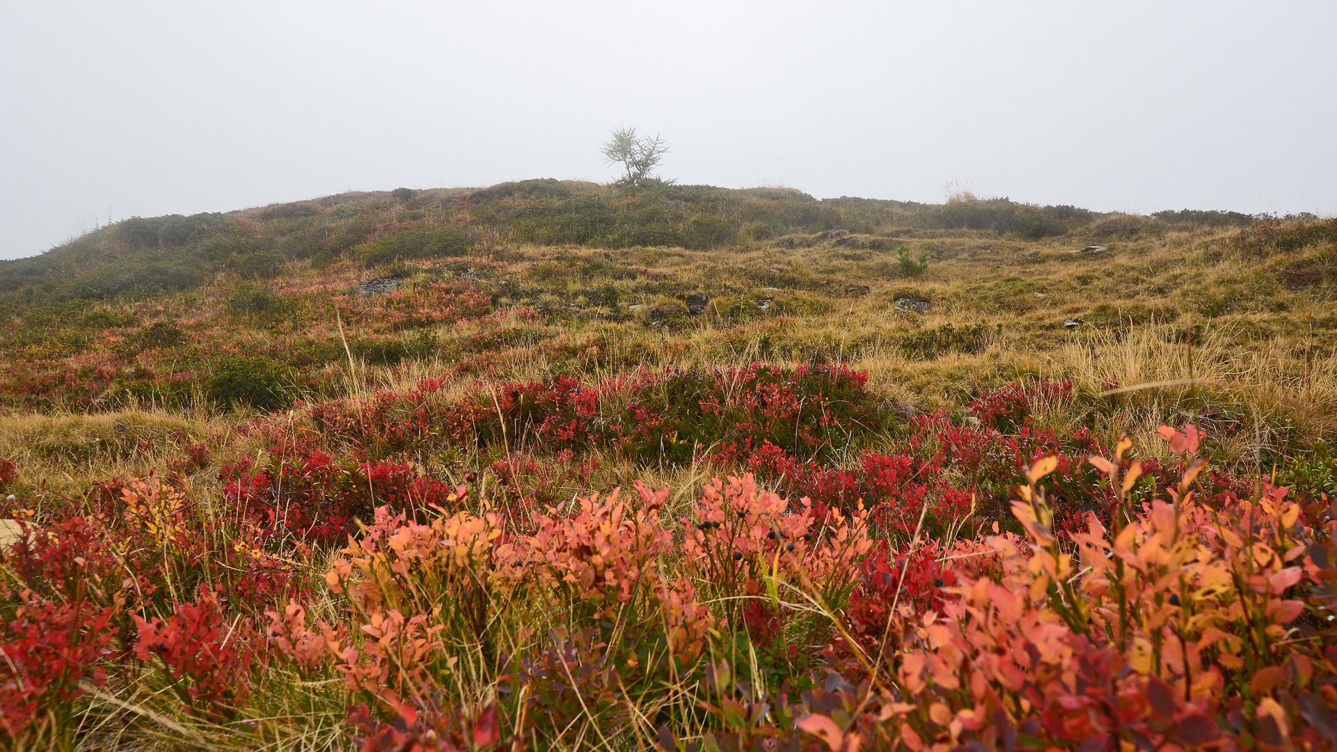 Der Herbst zieht ein...