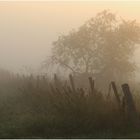 Der Herbst zieht ein