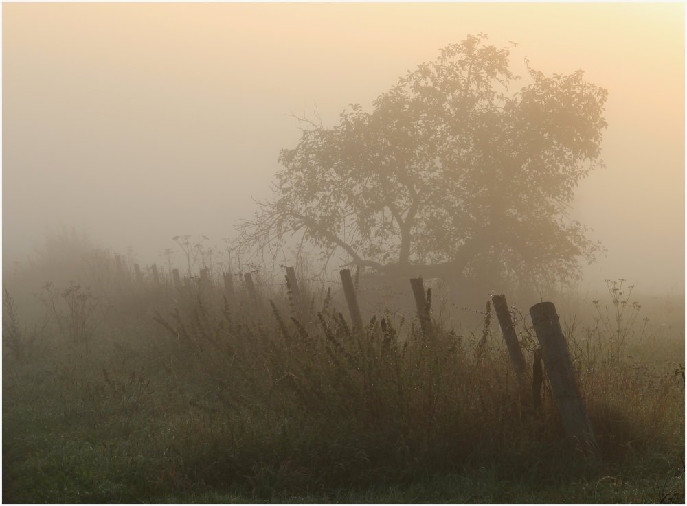 Der Herbst zieht ein