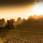 Der Herbst zieht ein auf dem Feld...