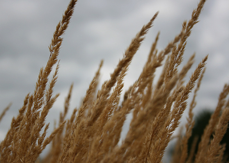 der herbst zieht ein