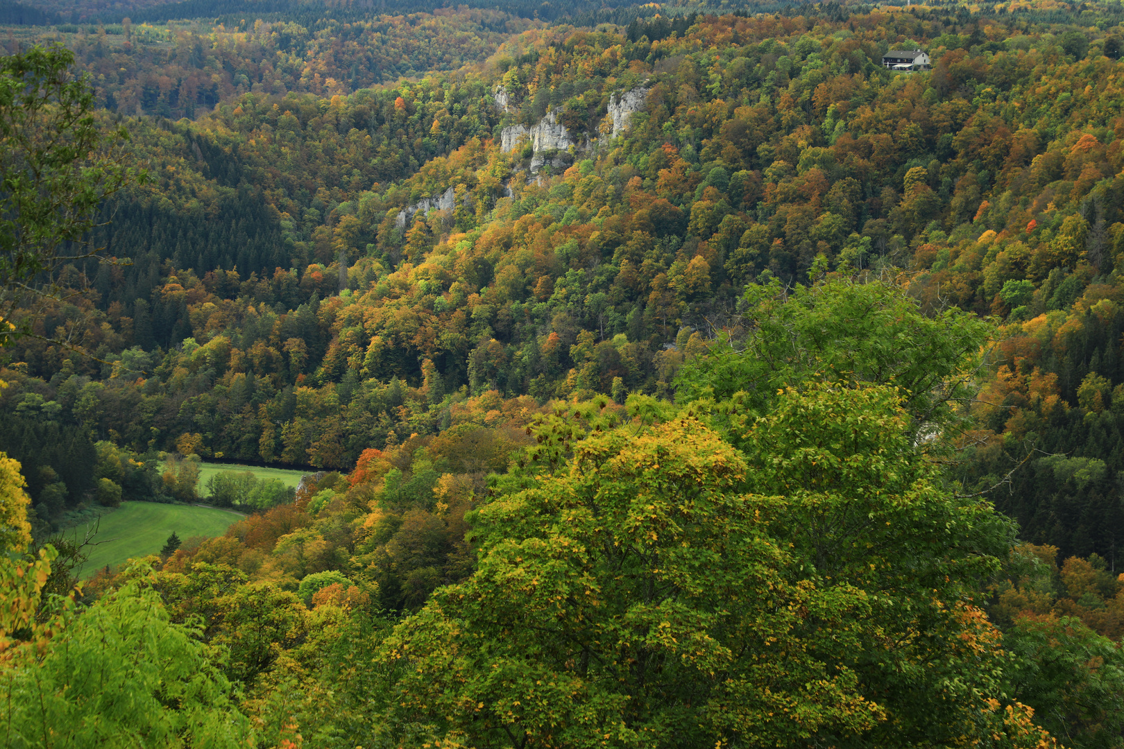 Der Herbst zieht ein im Donautal