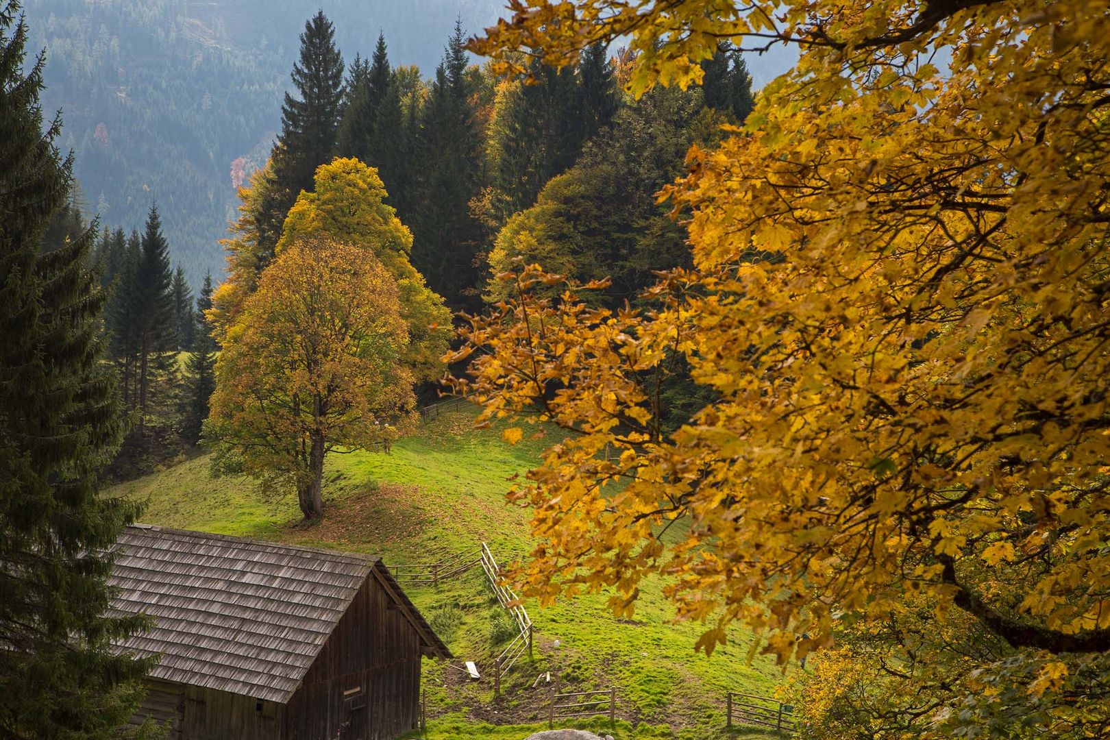 der Herbst zieht ins Land