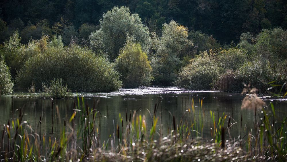 Der Herbst zieht langsam ein.