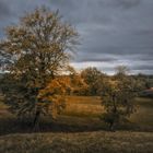 der Herbst zieht über das Land ...