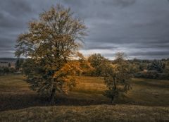 der Herbst zieht über das Land ...