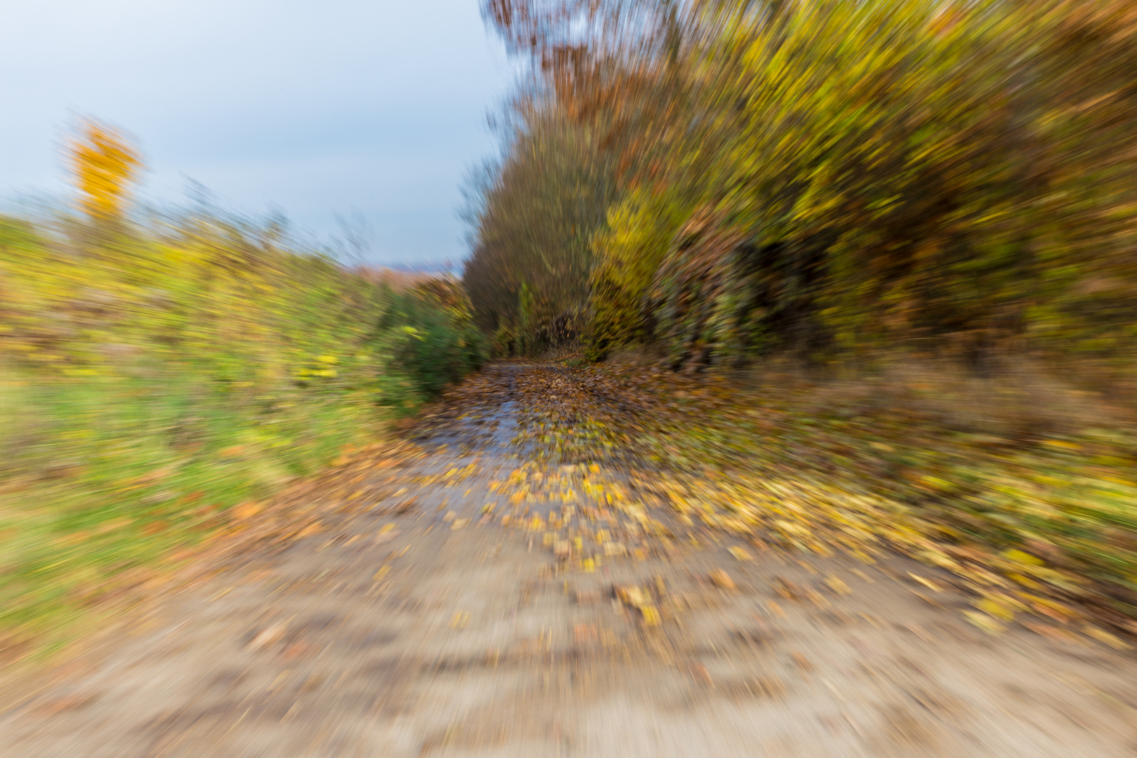 Der Herbst zieht vorbei