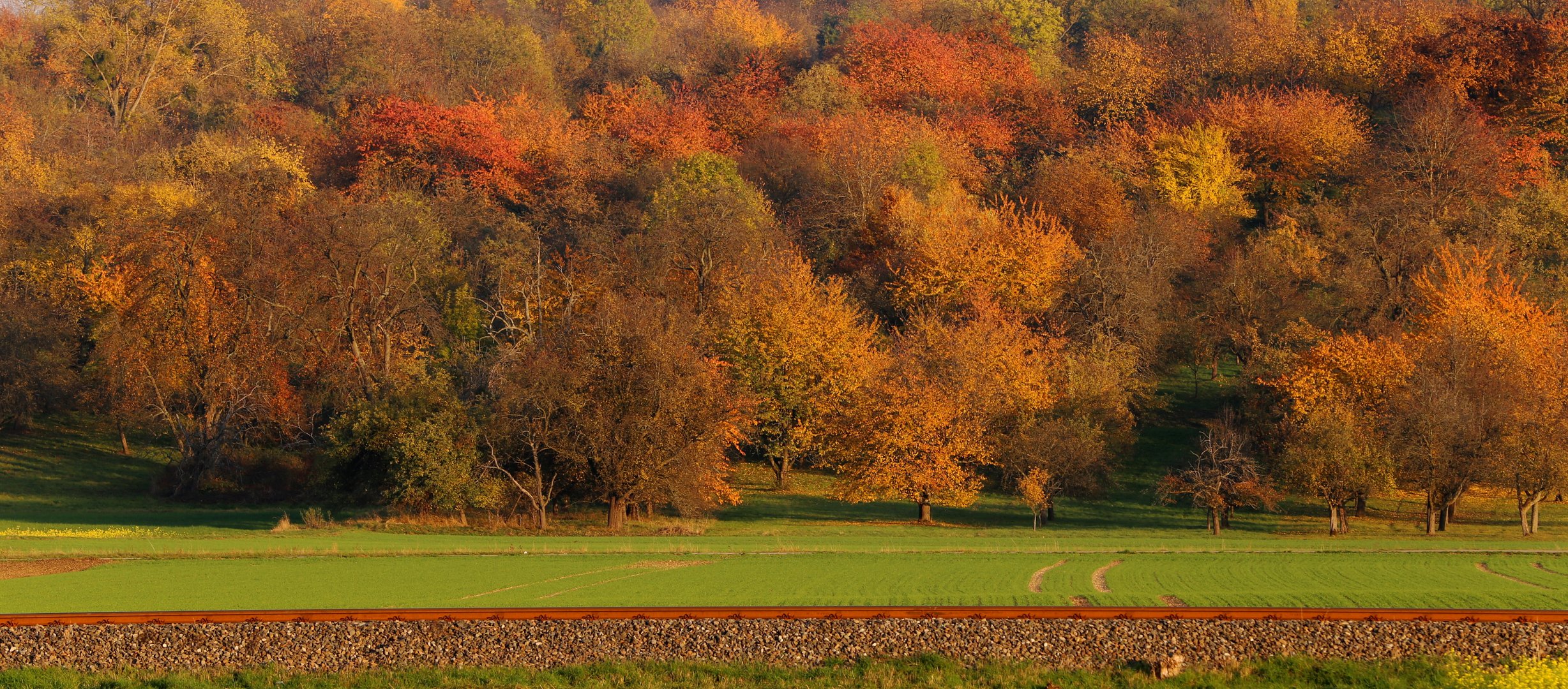 der Herbst zieht weiter...