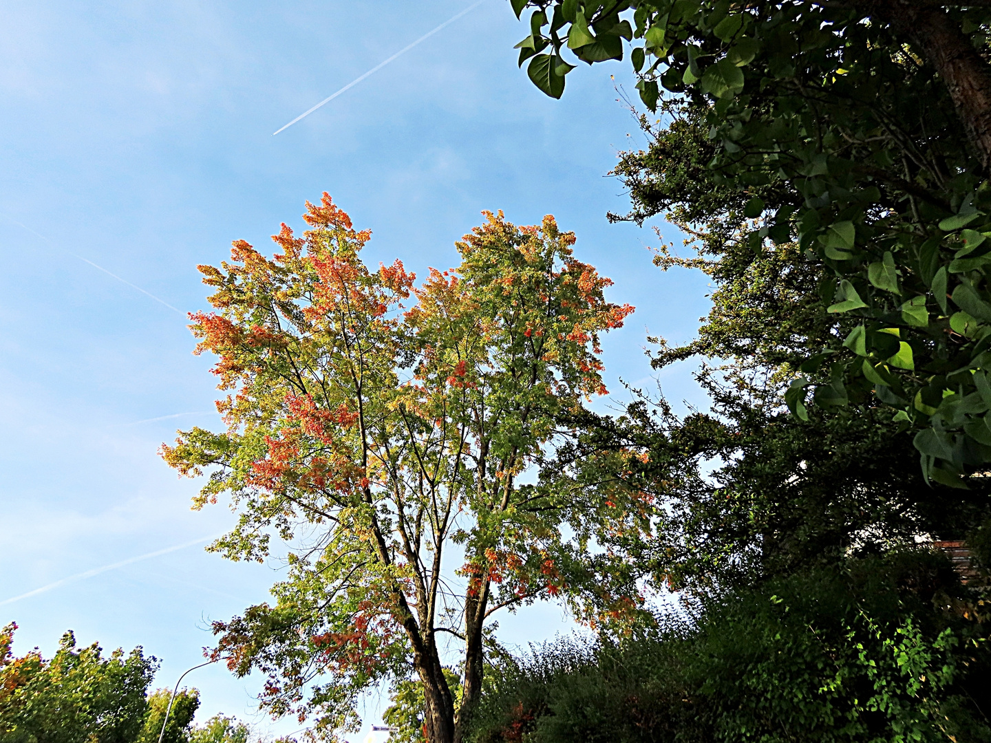 Der Herbst zum Thementag