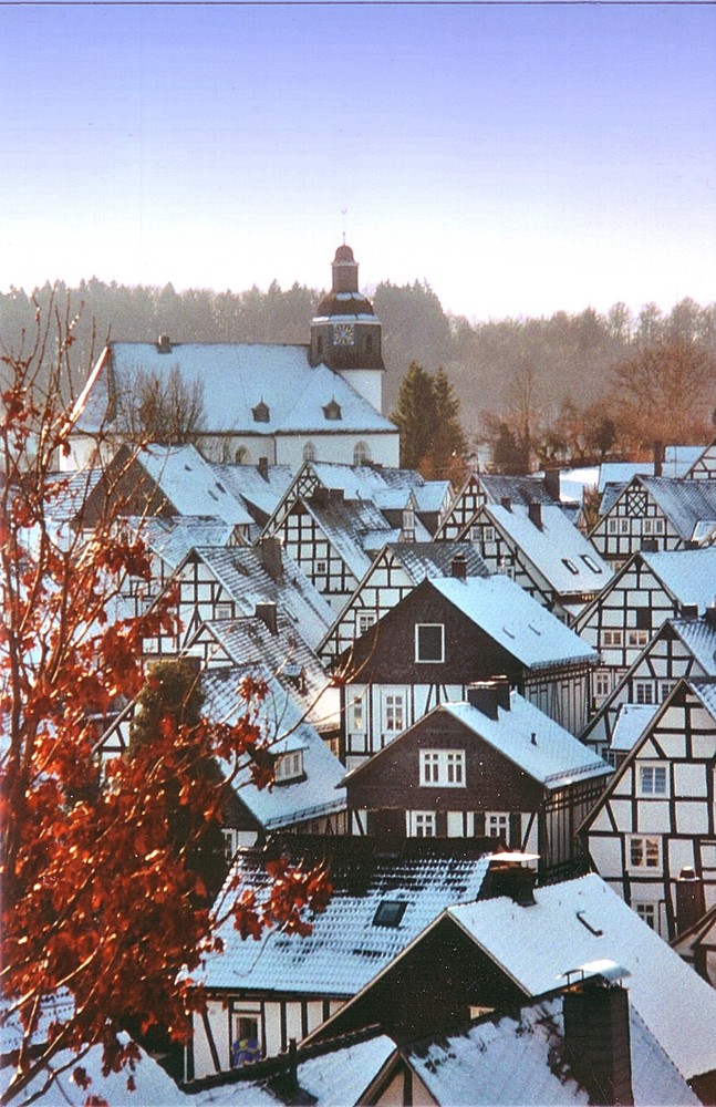 Der Herbstbaum will sich nicht vom Winter vertreiben lassen