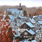 Der Herbstbaum will sich nicht vom Winter vertreiben lassen