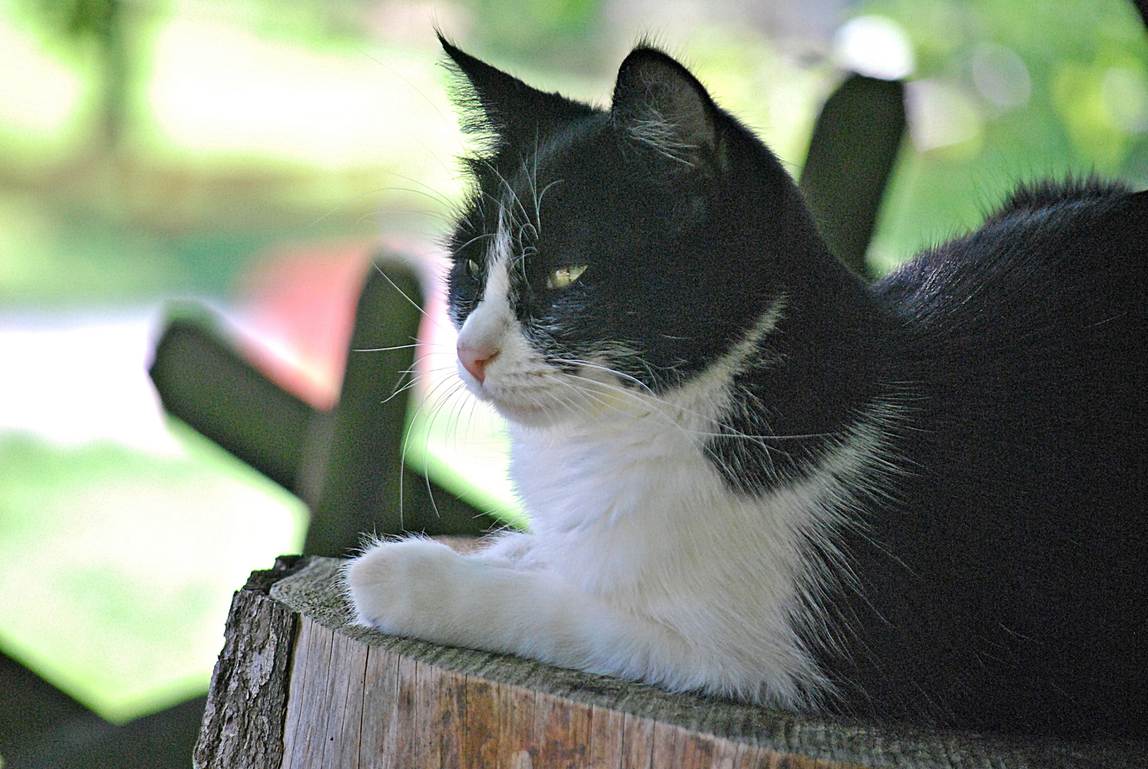 der Herbstblick...