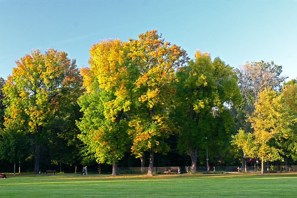 Der Herbstfall ...