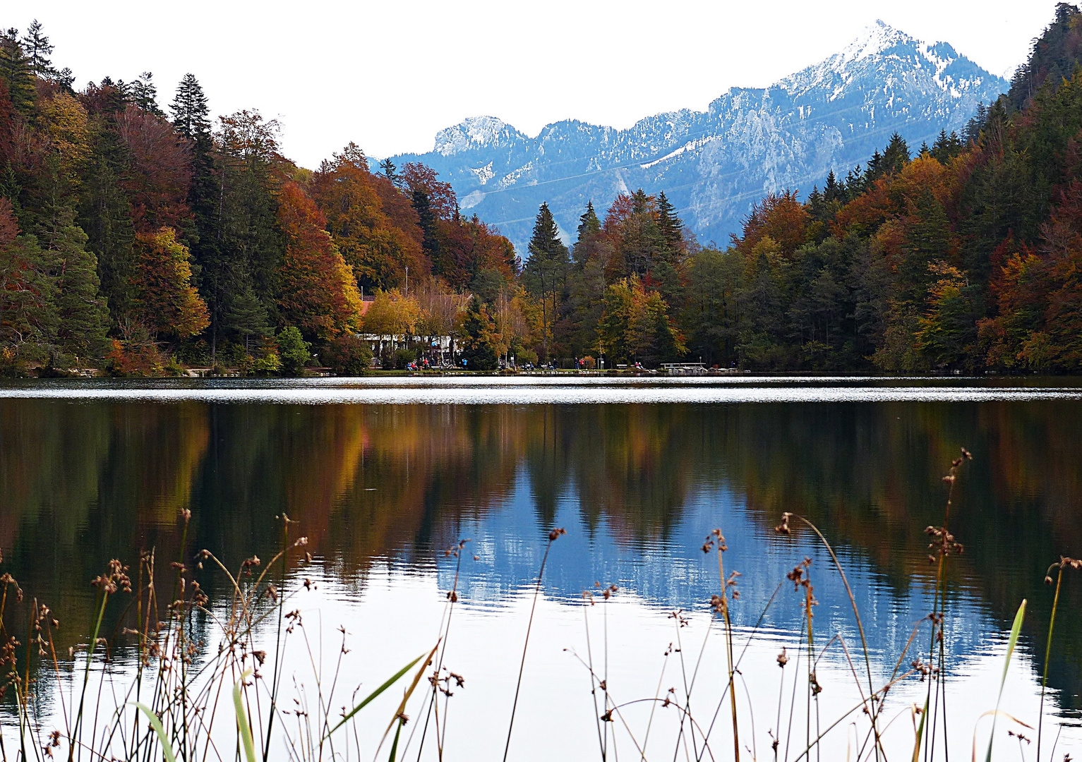 Der herbstliche Alatsee