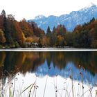 Der herbstliche Alatsee