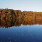 Der herbstliche Beversee, Blick nach Osten am späten Nachmittag