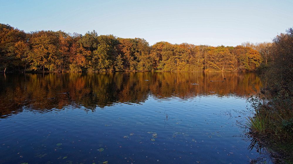 Der herbstliche Beversee, Blick nach Osten am späten Nachmittag