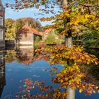 Der herbstliche Blick