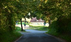 Der Herbstliche Donnerstag - Durchblick 