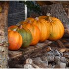 der herbstliche Garten