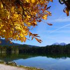 Der herbstliche Hintersee 