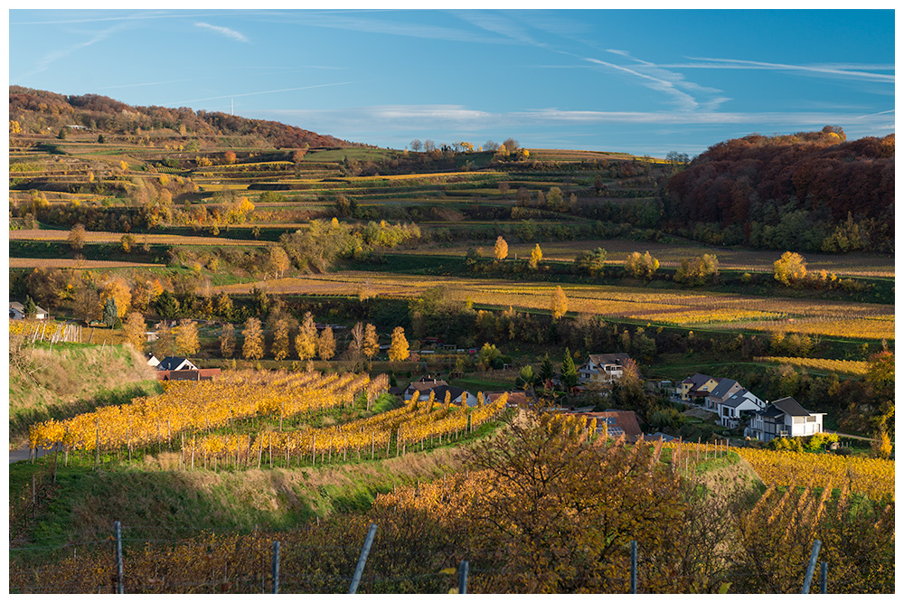 Der herbstliche Kaiserstuhl bei Achkarren II