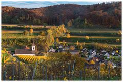 Der herbstliche Kaiserstuhl bei Achkarren III