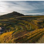 Der herbstliche Kaiserstuhl bei Achkarren IV