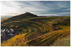 Der herbstliche Kaiserstuhl bei Achkarren IV