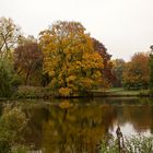 Der herbstliche Maschteich in Hannover