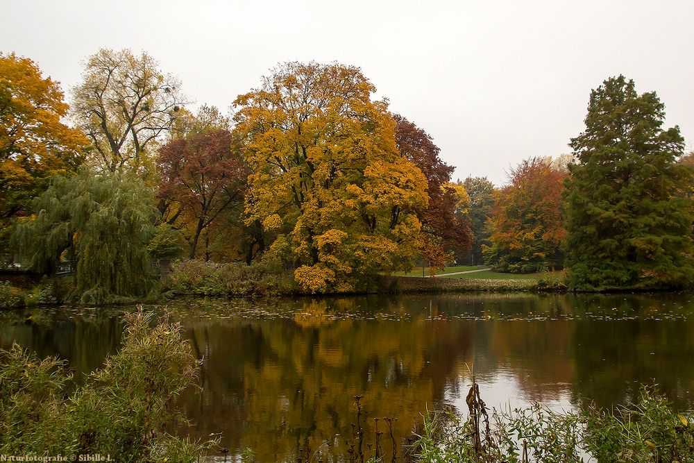 Der herbstliche Maschteich in Hannover