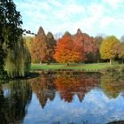 Der herbstliche Schlosspark...