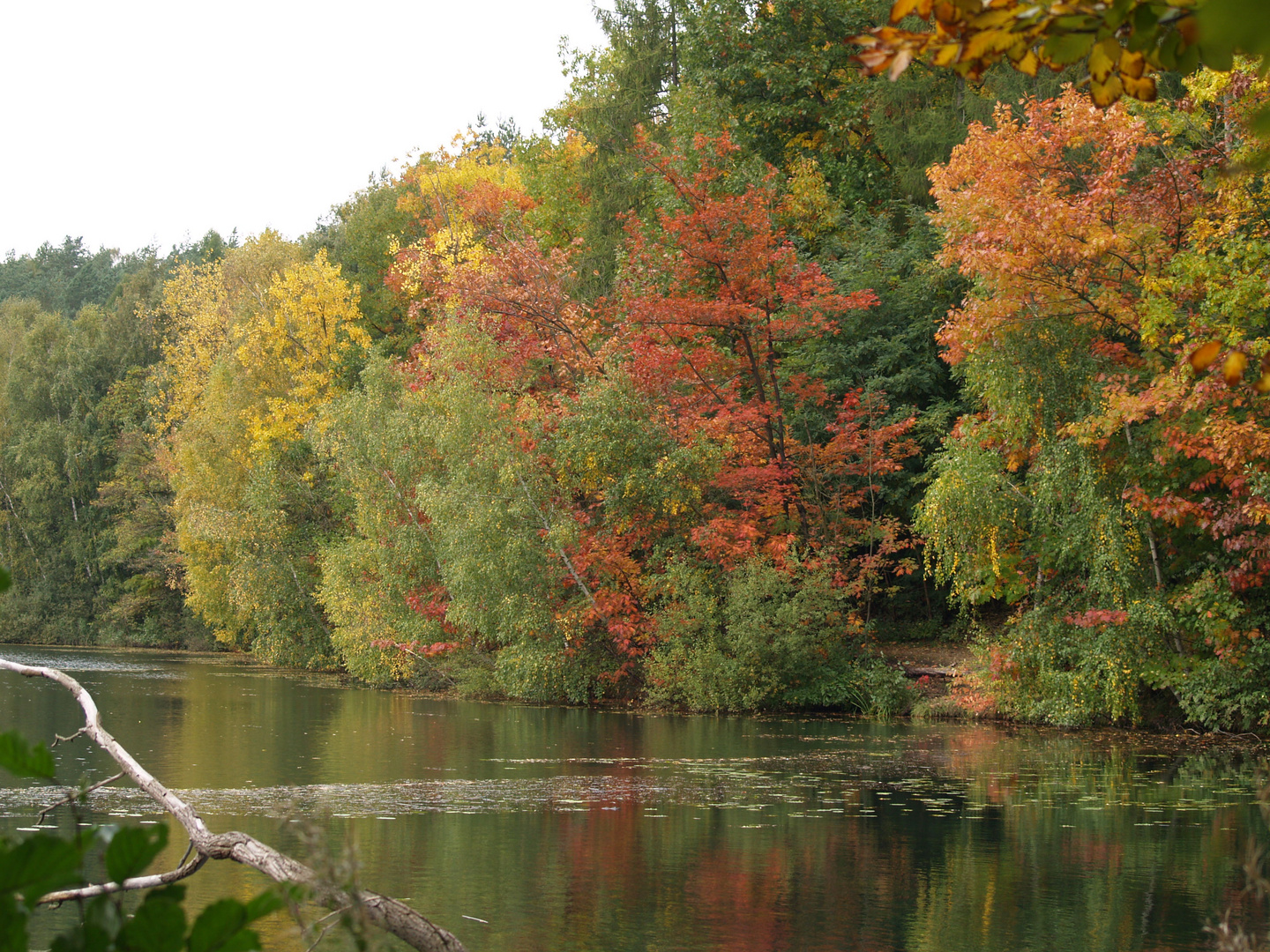 ....der "Herbstmaler"...