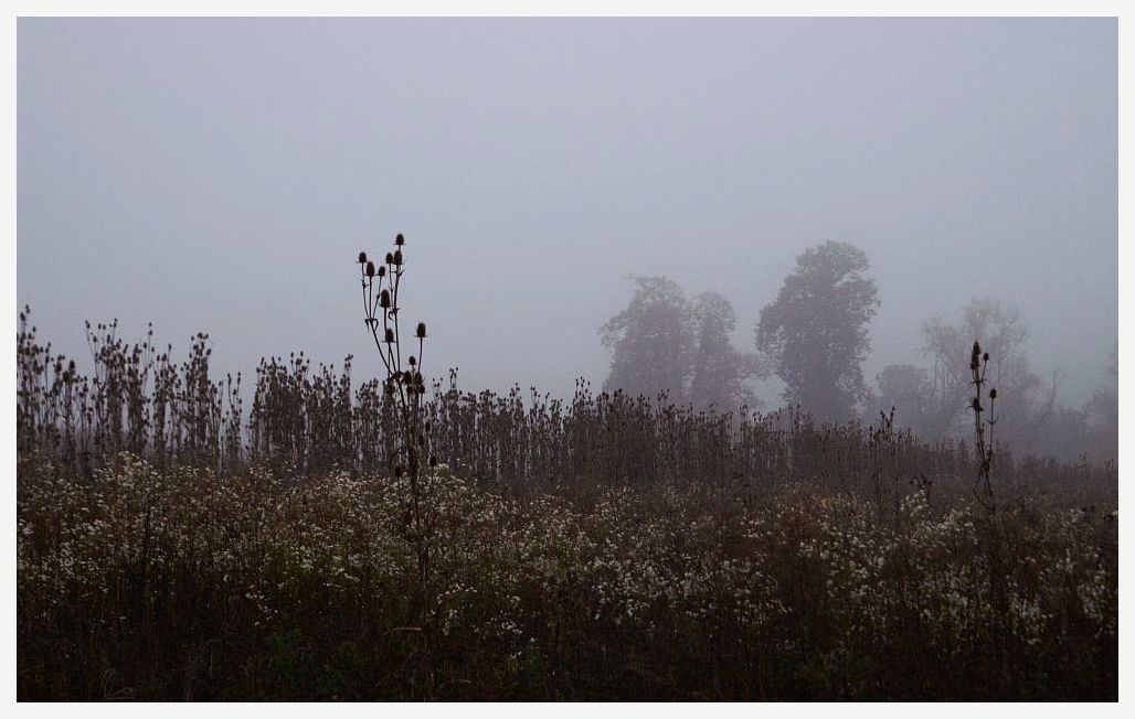 der herbstmorgen.....