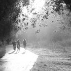 Der Herbstsonne entgegen