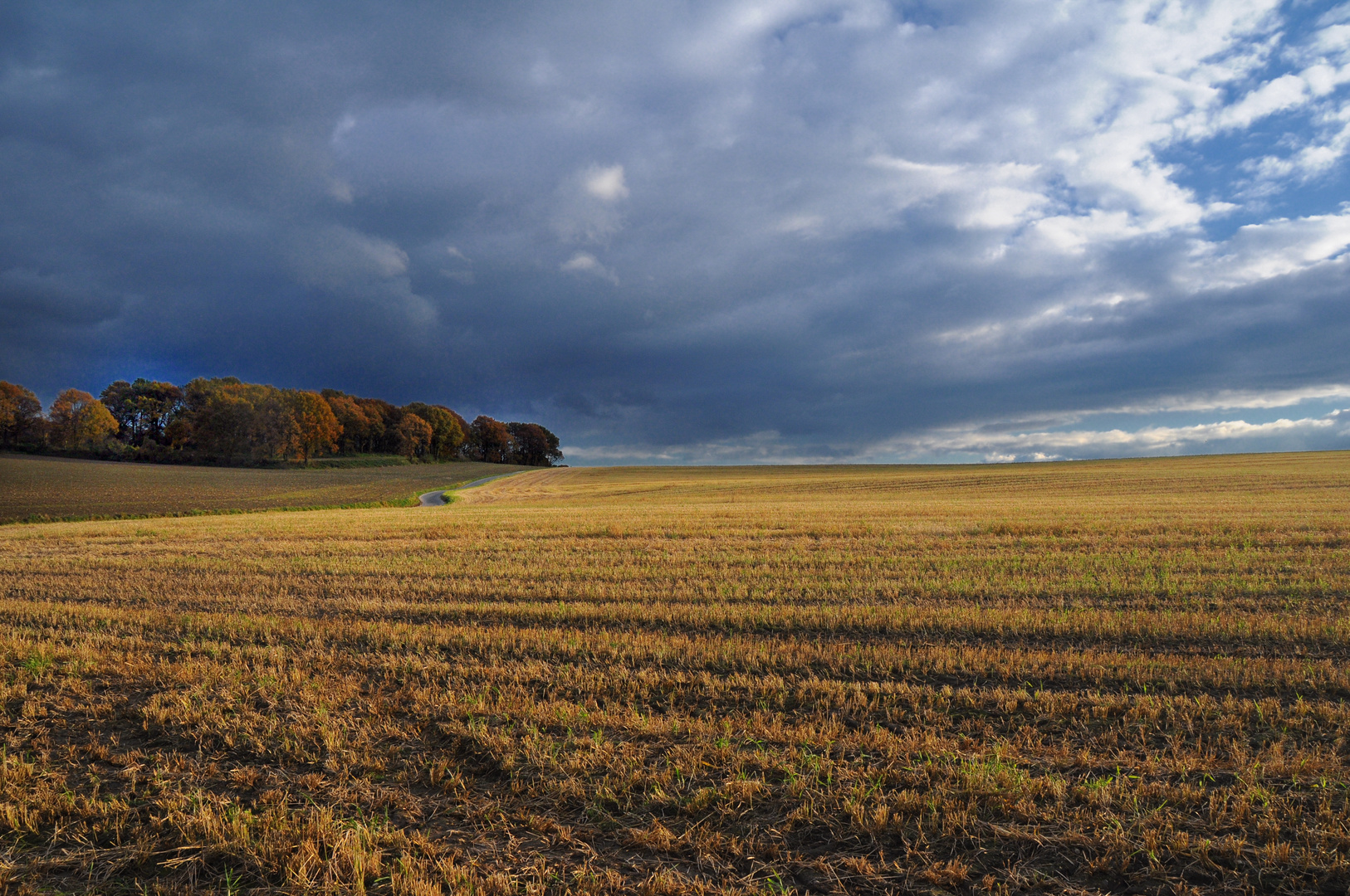 Herbststurm Herbststurm